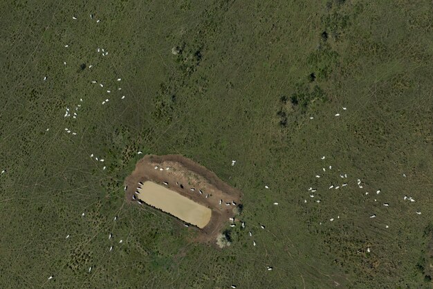 A satellite image showing a refugee camp sprawling across a landscape, illustrating the vast scale of humanitarian need and logistical challenges.