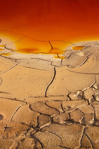 A visual representation of global warming, showing a barren land with cracked soil contrasting with lush green areas, emphasizing climate change's destructive impact and the need for international climate action.