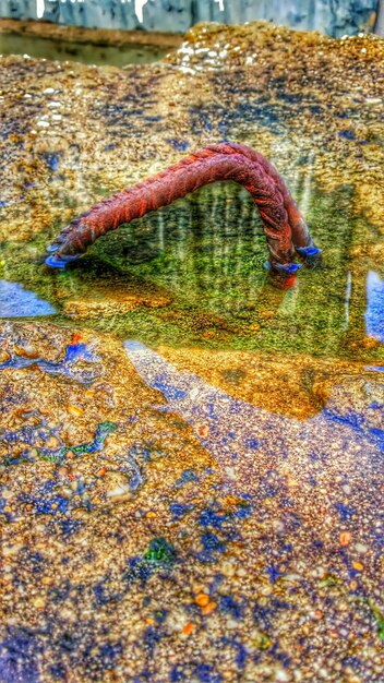 A vibrant, large-scale public art installation made entirely from recycled plastic bottles, shaped like a flowing river, highlighting ocean pollution in an urban setting.