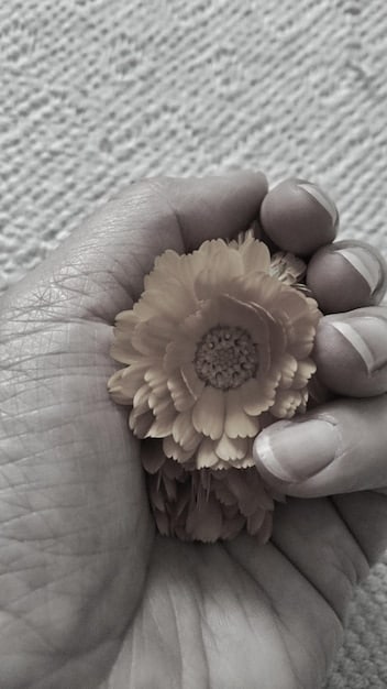 A detailed close-up of a person's hands gently clasped, symbolizing comfort and self-awareness, with soft, calming background colors.